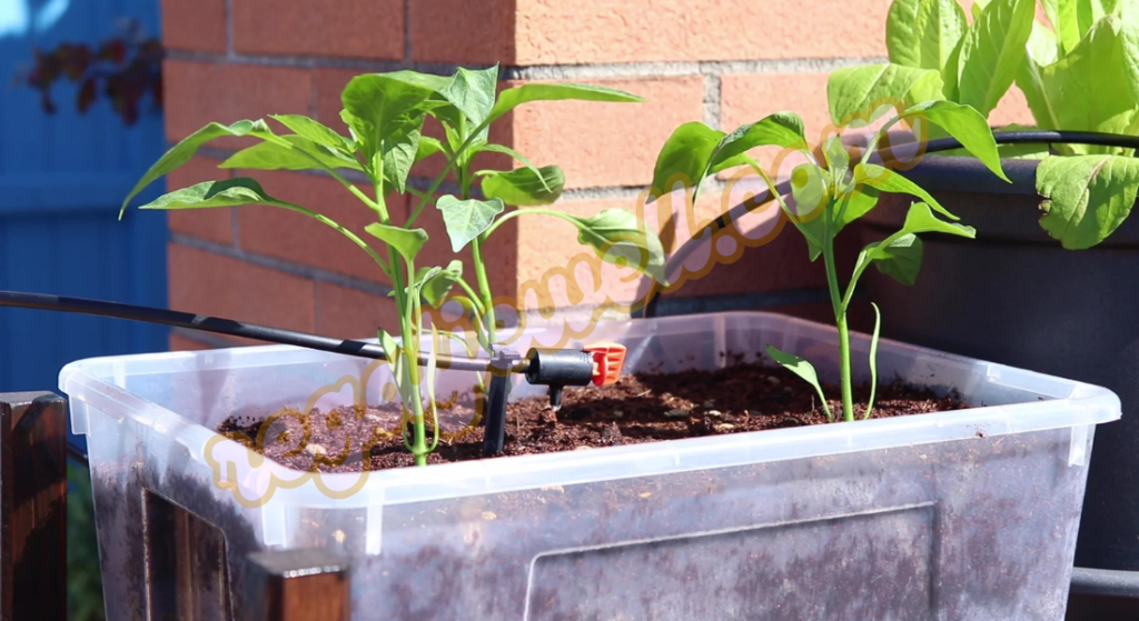 Wi-Fi garden watering system