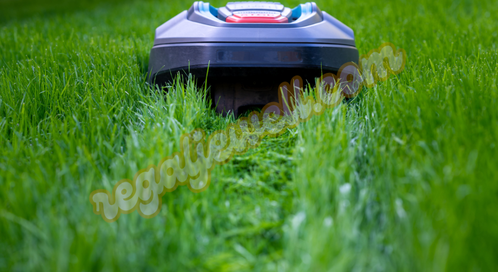 App-controlled lawn mower